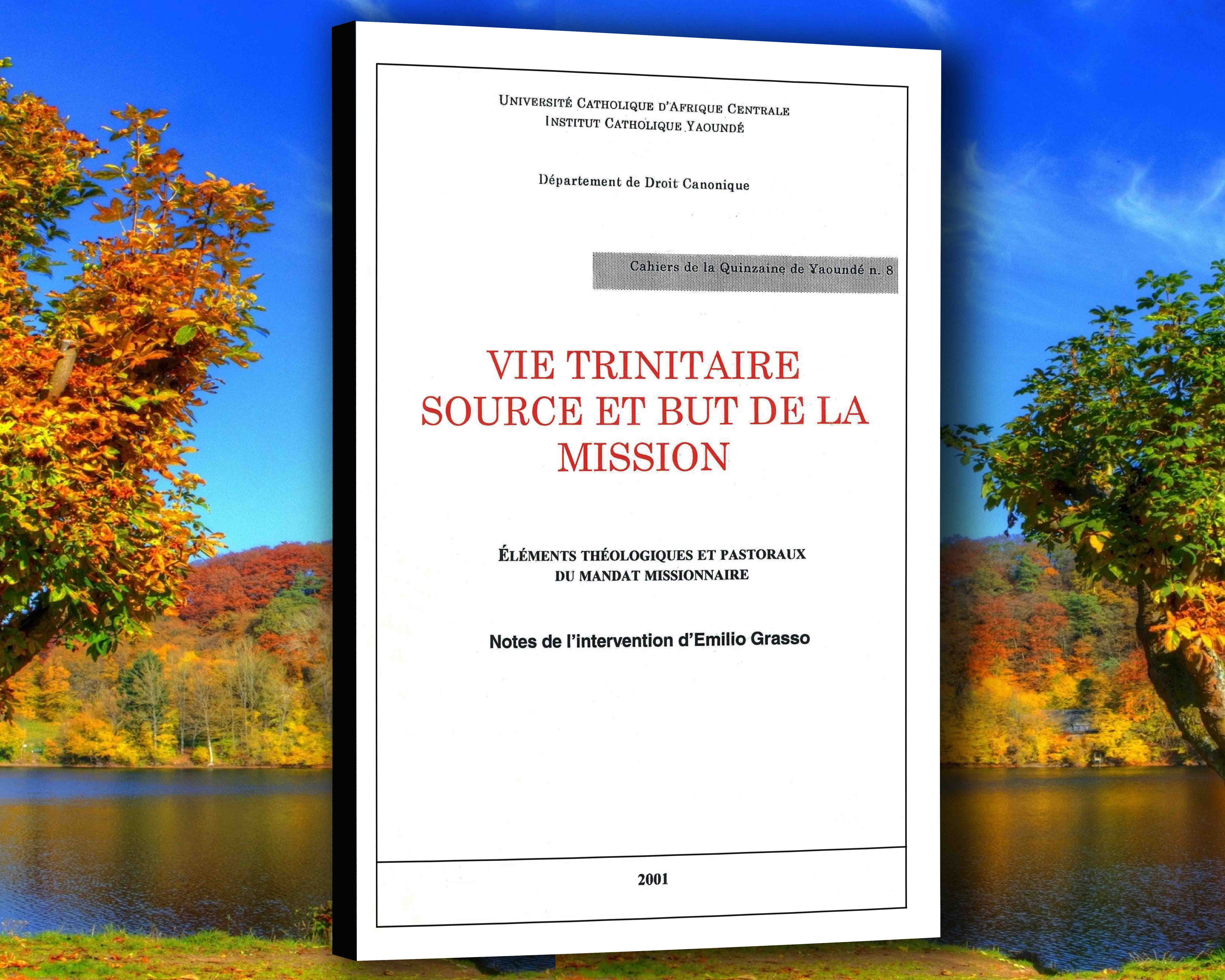 Livre Vie trinitaire source